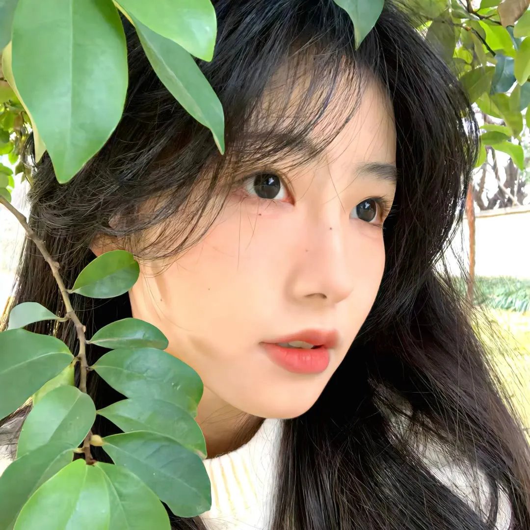 白色大厦